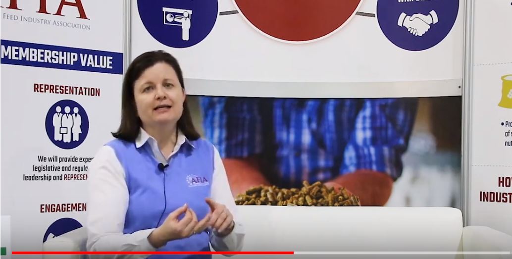 Sarah Novak Screen Grab