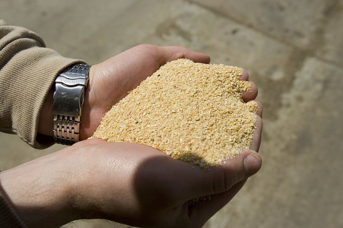 Soybean Meal 10059014026