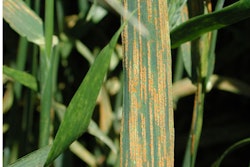 via Wikimedia Commons