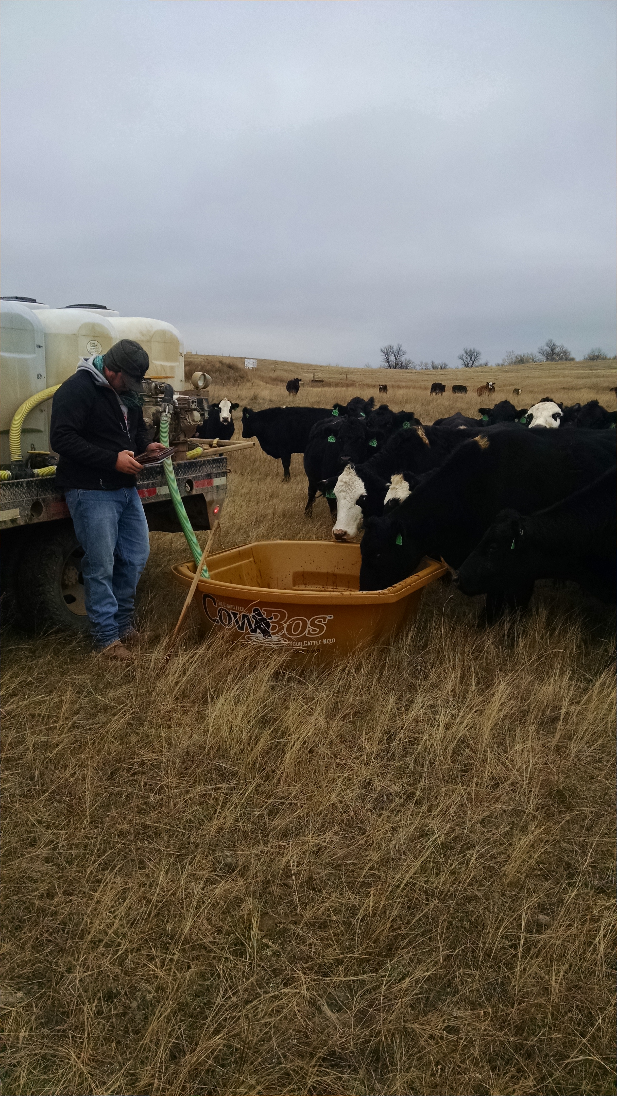 Tanner Olson i Bos Picture 2014 81