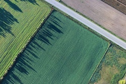 Agriculture 1867212 340