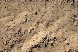 Background 1068953 640