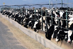 Cattle feedlot 868032 960 720