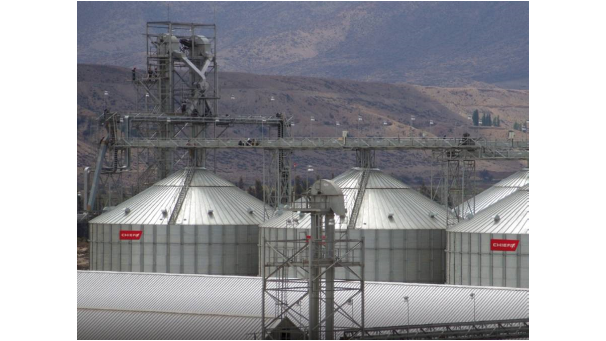 Chief grain handling
