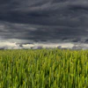 Clouds 1948401