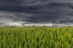 Clouds 1948401