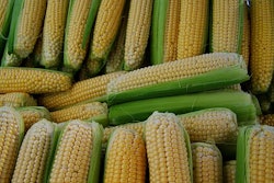 Corn 1545320 340
