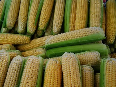 Corn 1545320 340