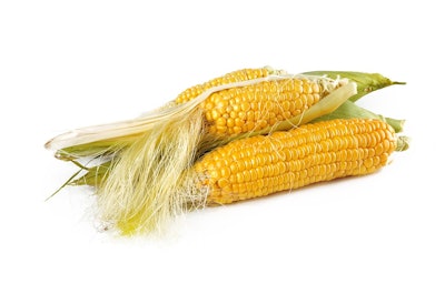 Corn 1751321 960 720