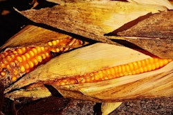 Corn 1751759 340