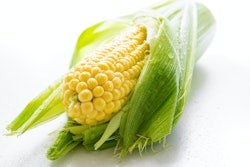 Corn1 pexels mali maeder 547264