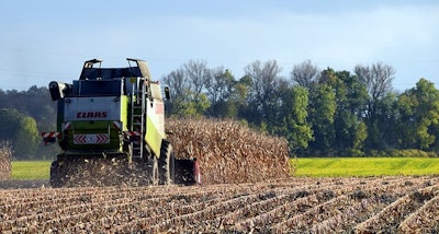 Corn harvest 1784238 340