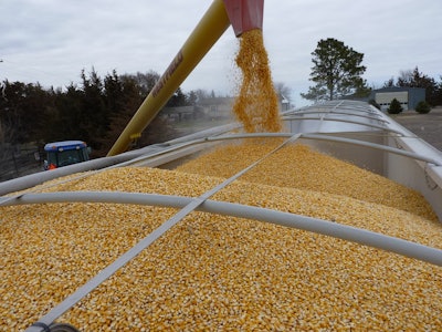 Corn loading