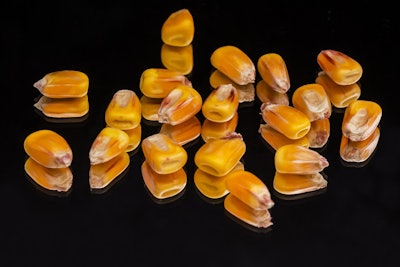 Corn pieces