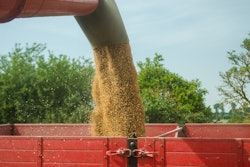 Crop 3562460 960 720