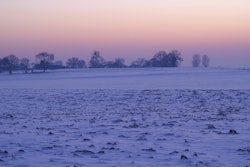 Extreme cold