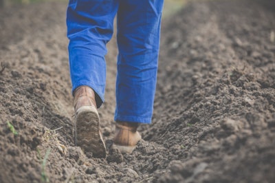 Farmer in field