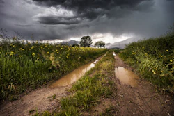 Field thunderstorm rainy meadow