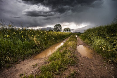 Field thunderstorm rainy meadow