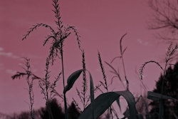 File0001619852083