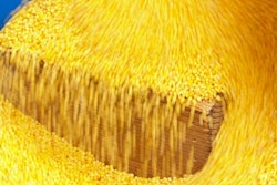 Flowing corn