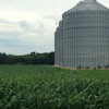 Grain bin 10227151