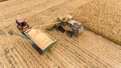 Grain harvest farm