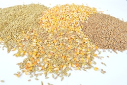 Grains 1173812