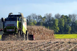 Harvest 1784238 960 720