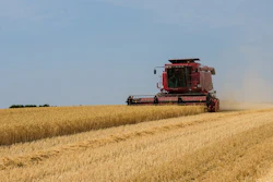 Harvest 3562456 960 720