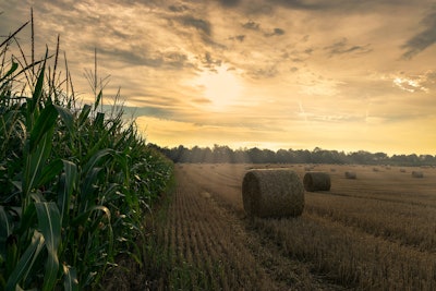 Harvest 4195417 1920