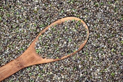 Hemp seeds