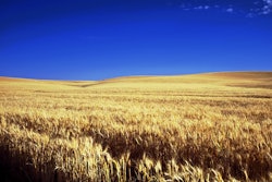 堪萨斯州243079960720