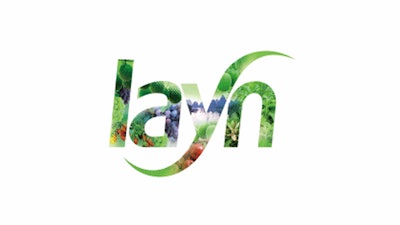Layn logo2