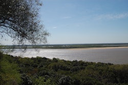 Parana river 67020 1920