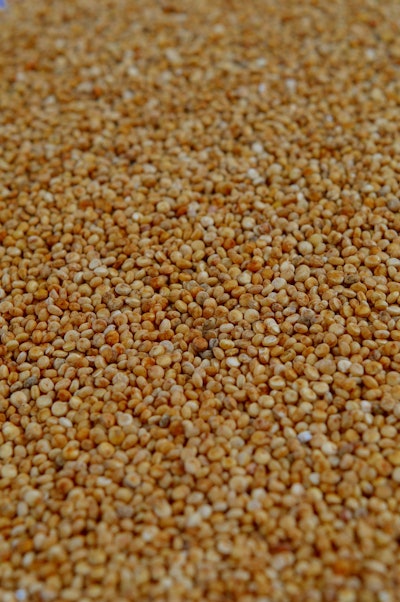 Quinoa 1243592 1280
