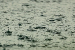 Rain1