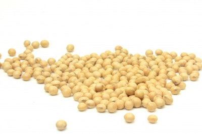 Raw soy beans fresh organic food isolated white background 59529 525