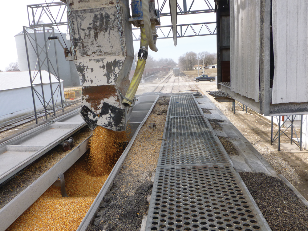 Redwing spout 109873531