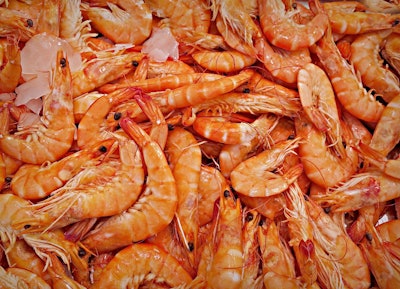 Shrimp 1523135 1920