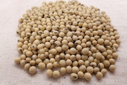 Soybean 3754425 960 720