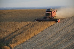 Soybean harvest