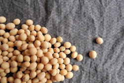 Soybeans 182294 960 7201