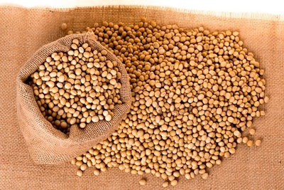 Soybeans 2039638 340