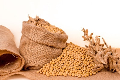 Soybeans 2039639 960 720