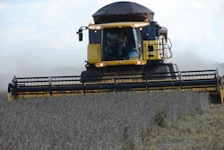 Soybeans 330248 960 720