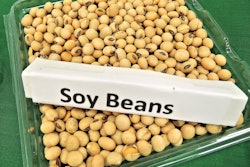 Soybeans 1