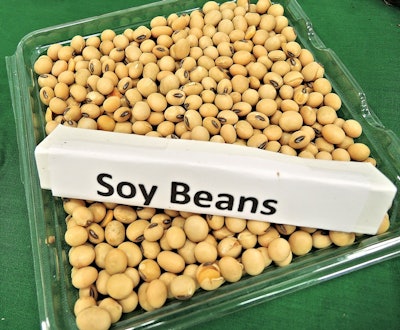 Soybeans 1