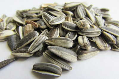 Sunflower seeds 537652 1920