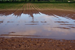 Wet field